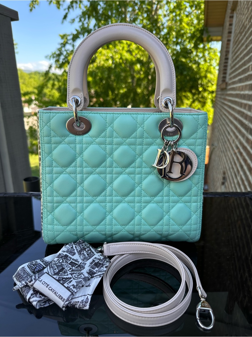 Christian Dior Lady Dior Python Tri-Tone bag with Silver Hardware. - Picture 5 of 11